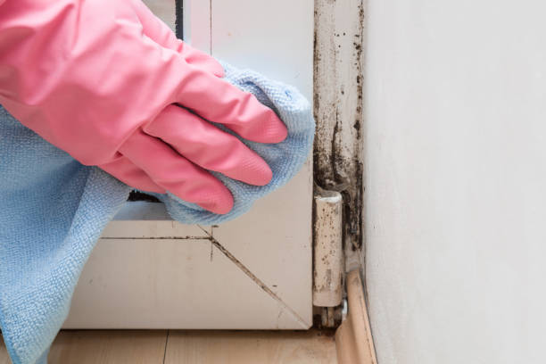 Best Mold Testing  in Greensboro, NC